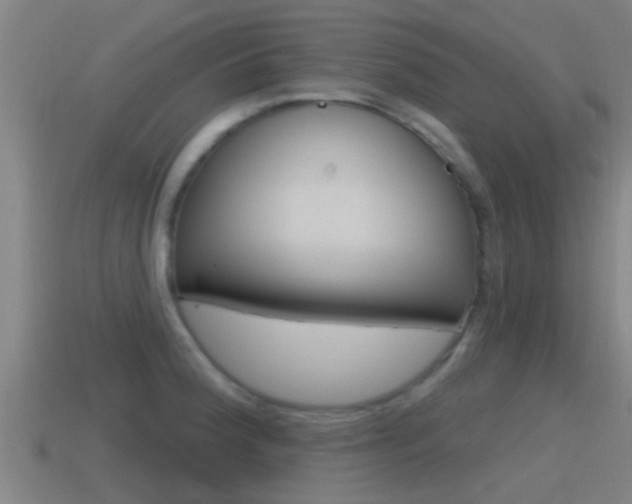 X0000115491188200911060955