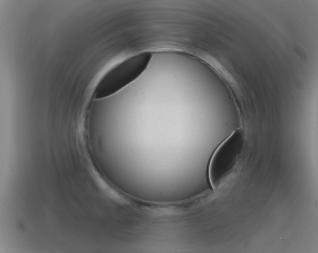 X0000115491189200911060955