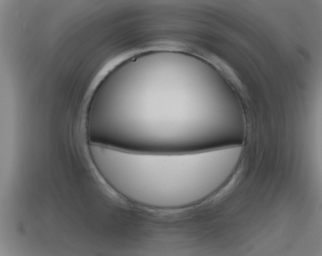 X0000115491192200911060955