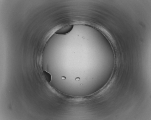 X0000115491193200911060955