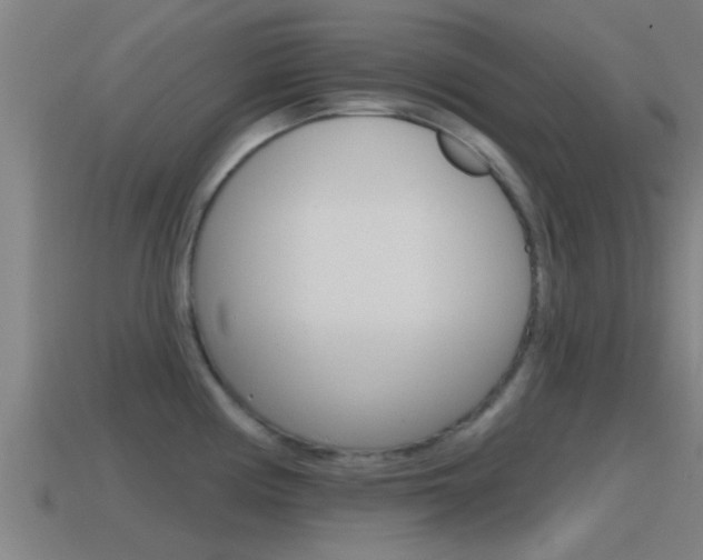 X0000115491194200911060955