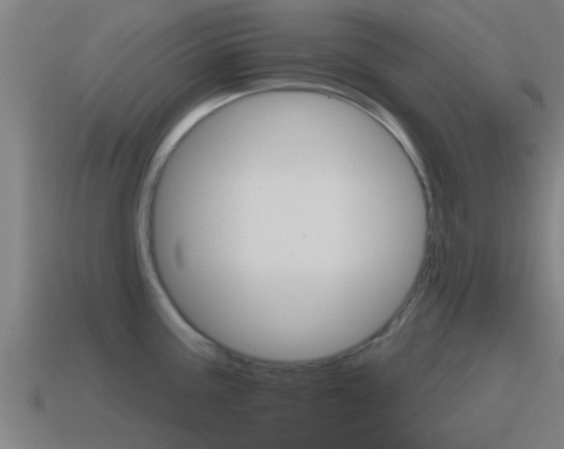 X0000115491195200911060955