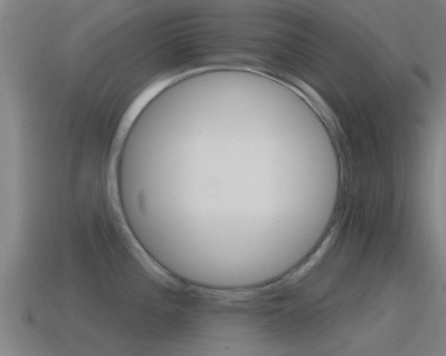 X0000115491196200911060955