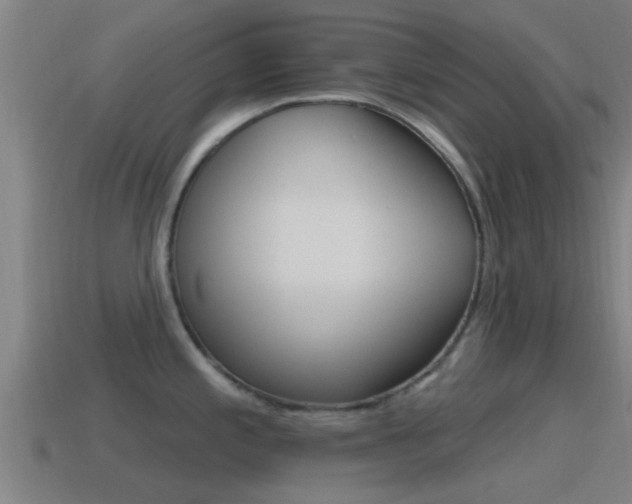 X0000115491197200911060955