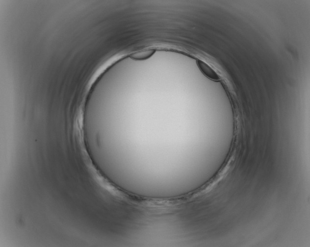 X0000115491198200911060955