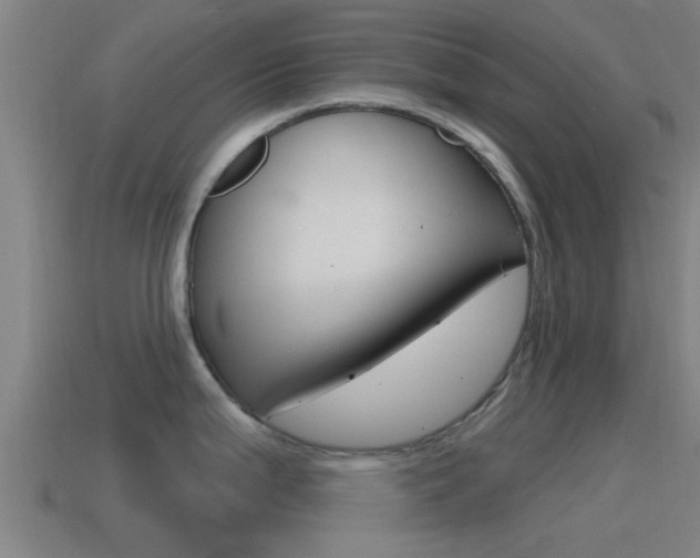 X0000115491199200911060955