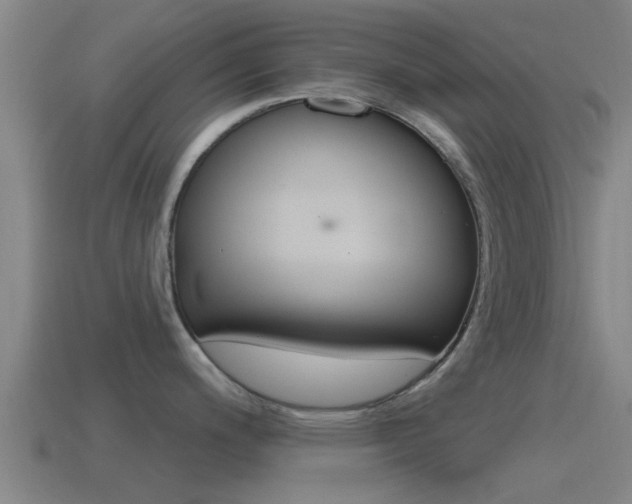 X0000115491200200911060955