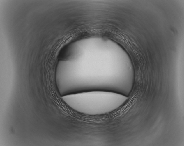 X0000115491201200911060954