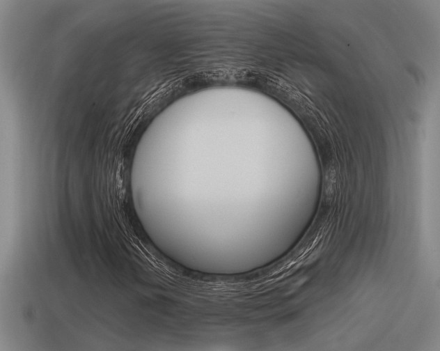 X0000115491202200911060954
