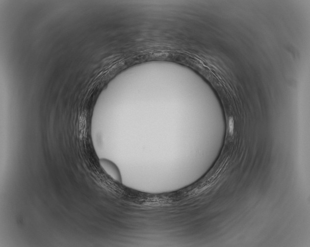 X0000115491203200911060954
