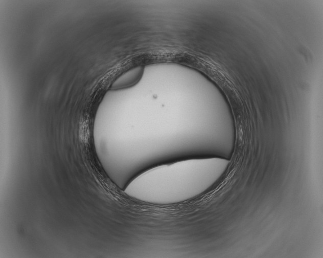 X0000115491204200911060954