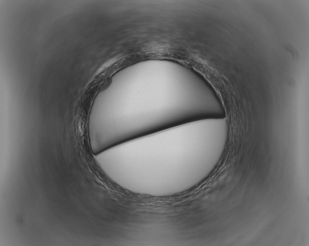 X0000115491206200911060954