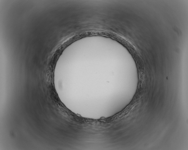 X0000115491207200911060954