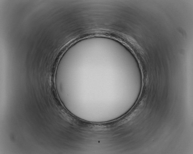 X0000115491209200911060954