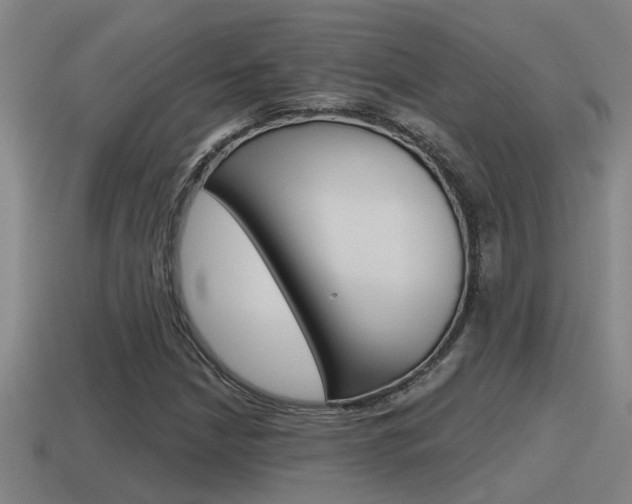 X0000115491210200911060954