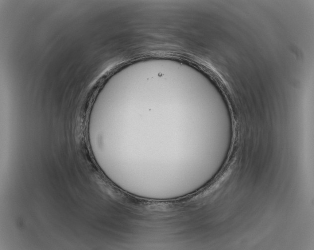 X0000115491211200911060954
