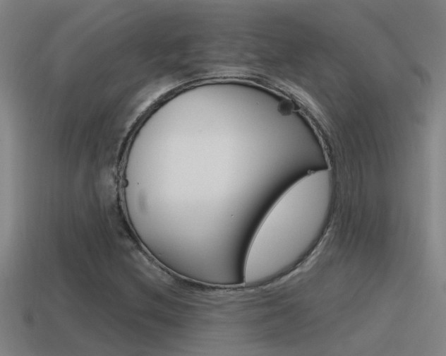X0000115491212200911060954