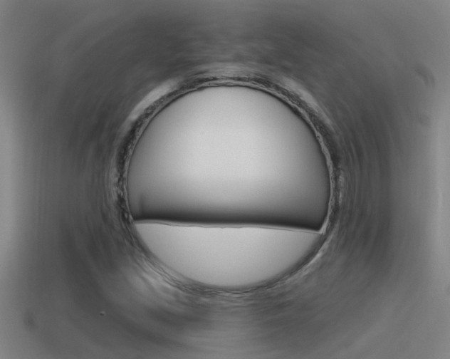 X0000115491213200911060954