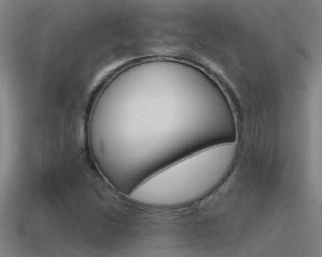 X0000115491214200911060954