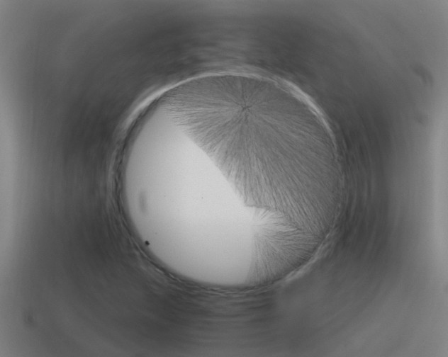 X0000115491215200911060955