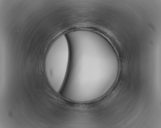 X0000115491217200911060955