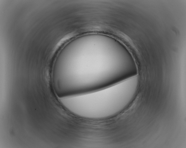 X0000115491218200911060955