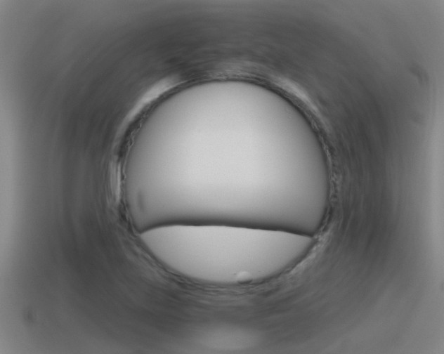X0000115491219200911060955