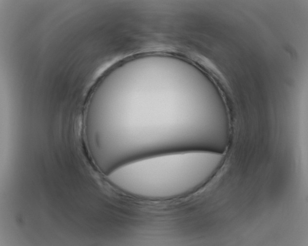 X0000115491220200911060955
