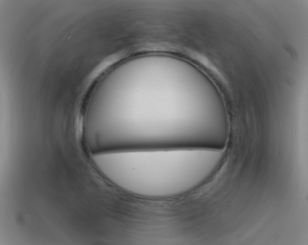 X0000115491221200911060955