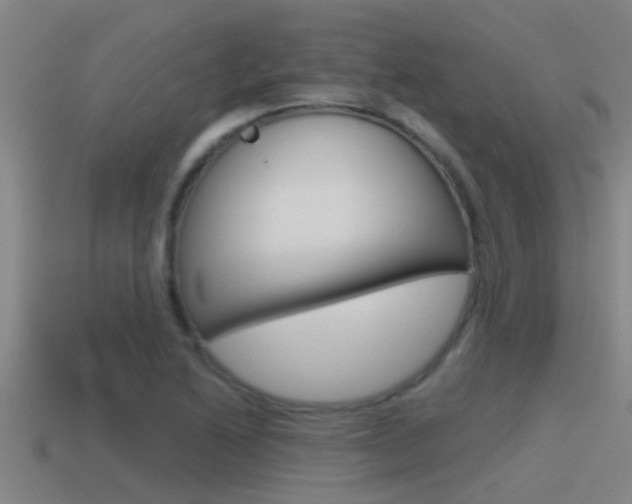 X0000115491222200911060955