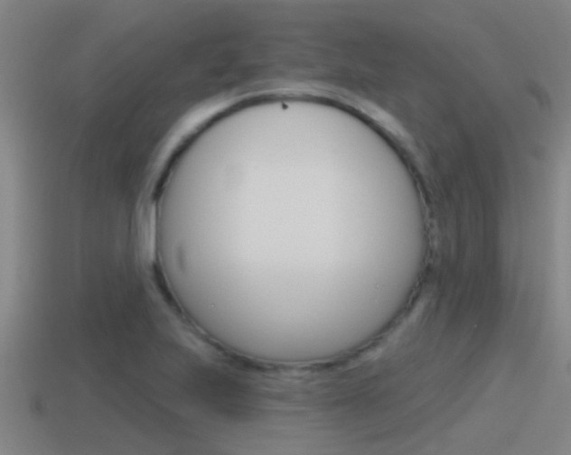 X0000115491223200911060955