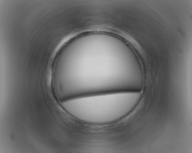 X0000115491224200911060955