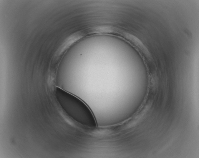 X0000115491225200911060955