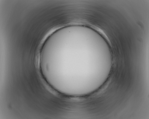 X0000115491227200911060955