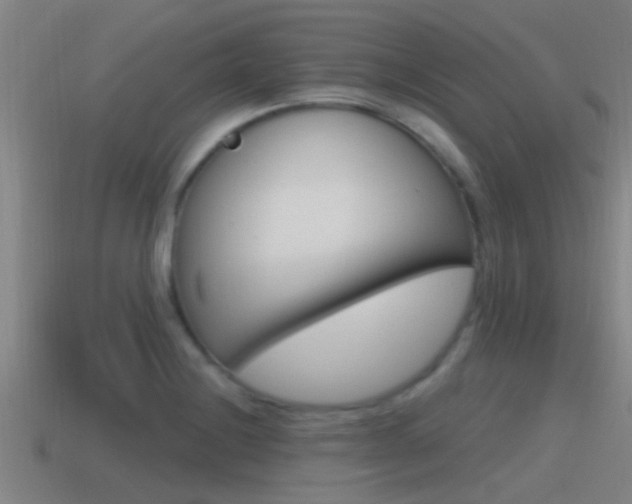 X0000115491228200911060955