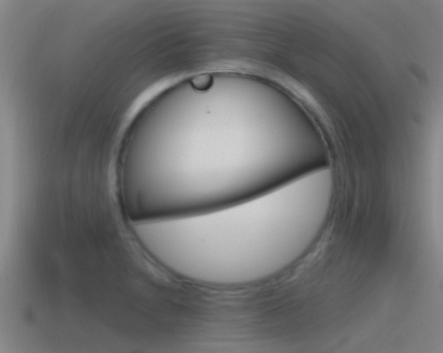 X0000115491230200911060955