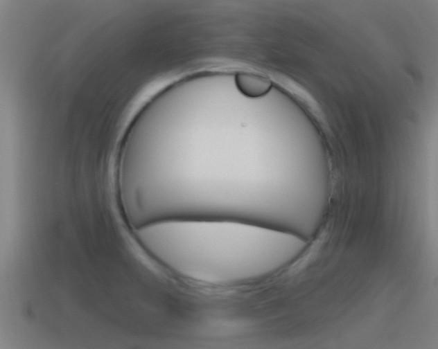 X0000115491231200911060955