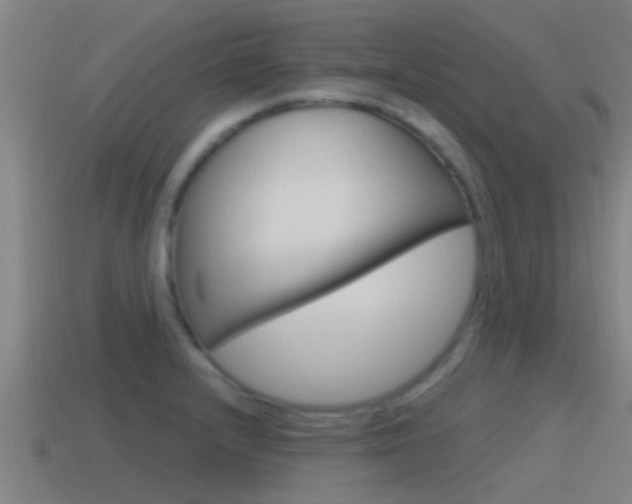 X0000115491232200911060955