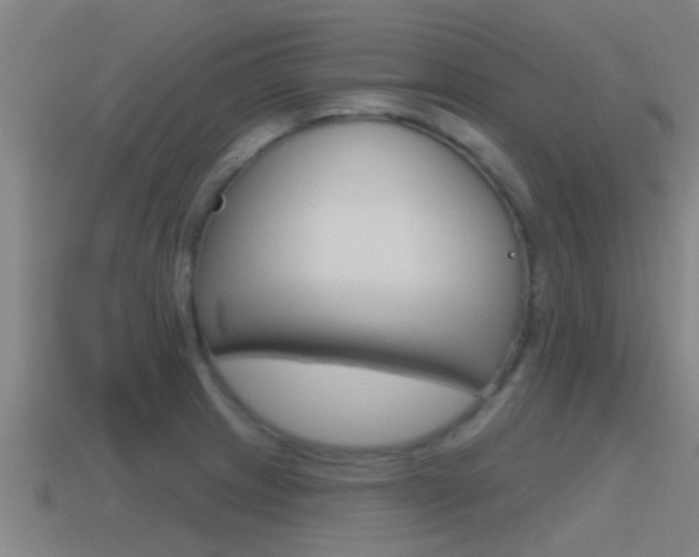X0000115491233200911060955