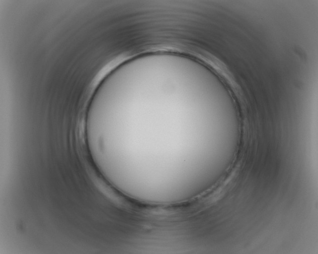 X0000115491234200911060955