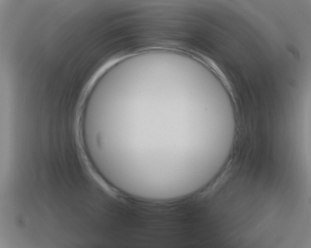 X0000115491235200911060955