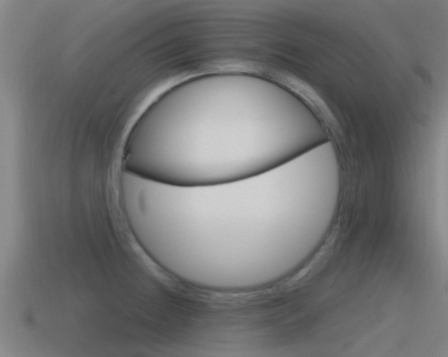 X0000115491236200911060955
