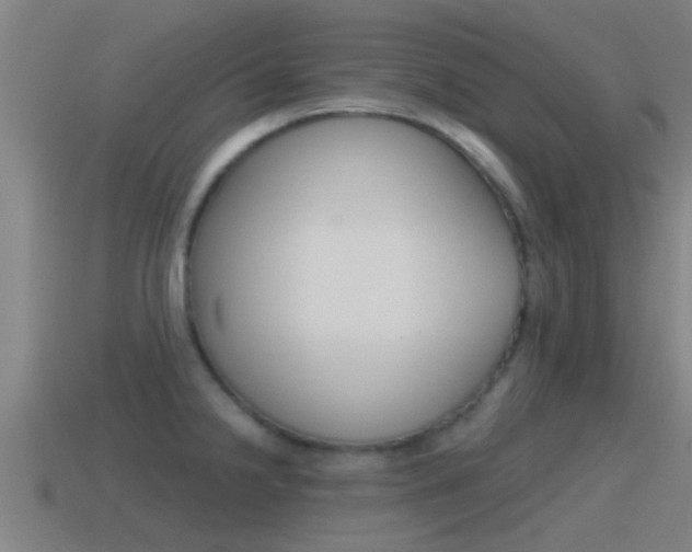X0000115491238200911060955