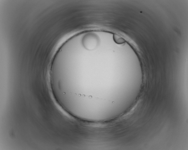 X0000115491239200911060955