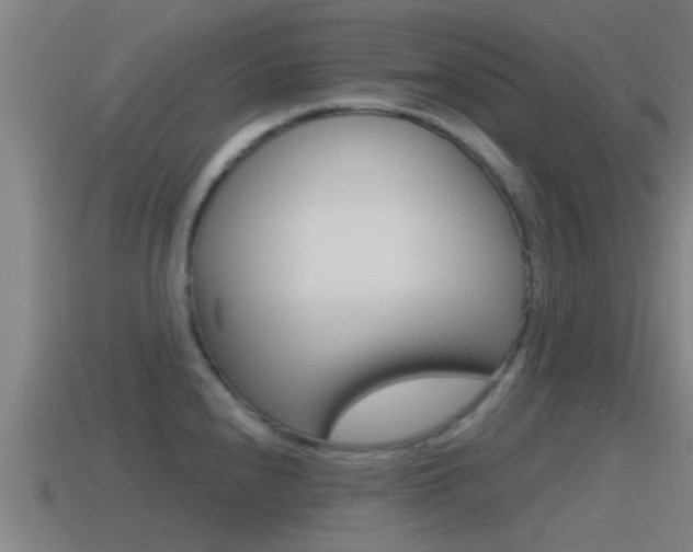 X0000115491240200911060955