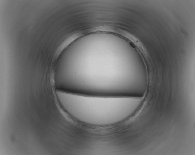 X0000115491241200911060955