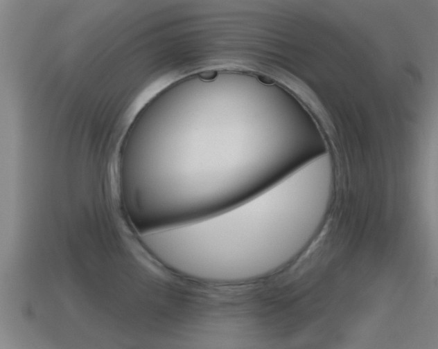 X0000115491242200911060955