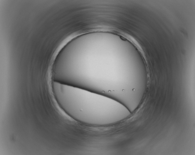 X0000115491243200911060955