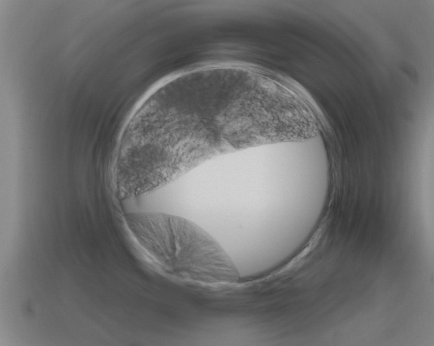 X0000115491244200911060955