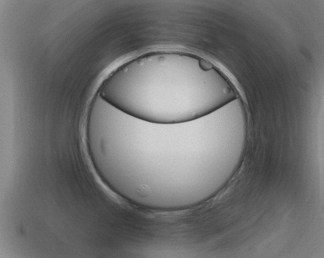 X0000115491245200911060955